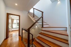 Holland Link (D10), Terrace #503034711